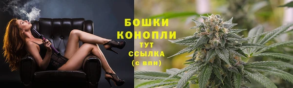 трава Абинск