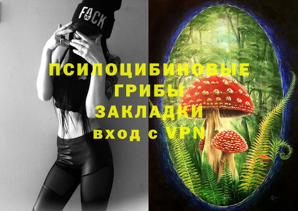 соль курить ск Абаза