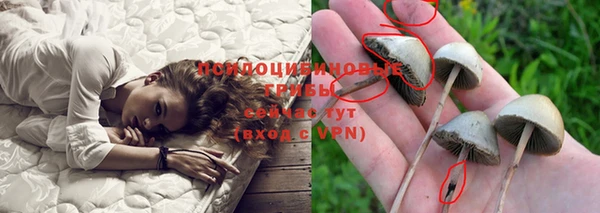 трава Абинск
