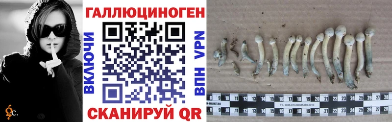 Псилоцибиновые грибы GOLDEN TEACHER  Устюжна 